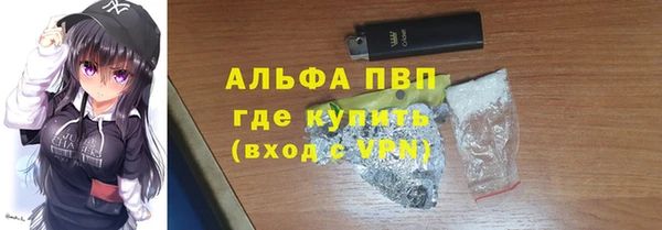 крисы Коряжма