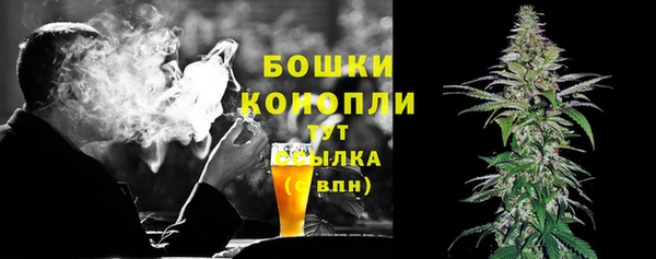 крисы Коряжма