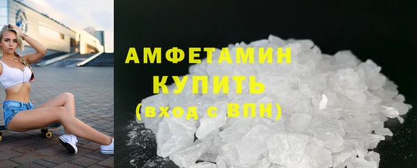 крисы Коряжма