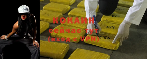 крисы Коряжма