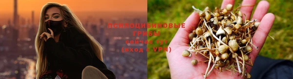 марки nbome Костерёво