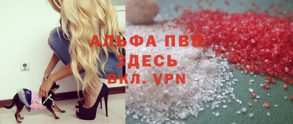 крисы Коряжма