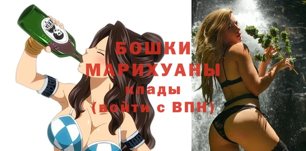 крисы Коряжма