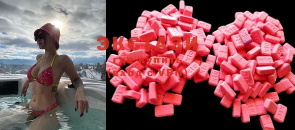 крисы Коряжма
