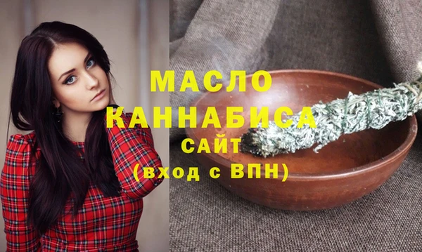 крисы Коряжма