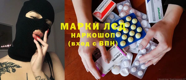крисы Коряжма