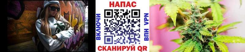 Купить  Кочубеевское  Бошки Шишки планчик 